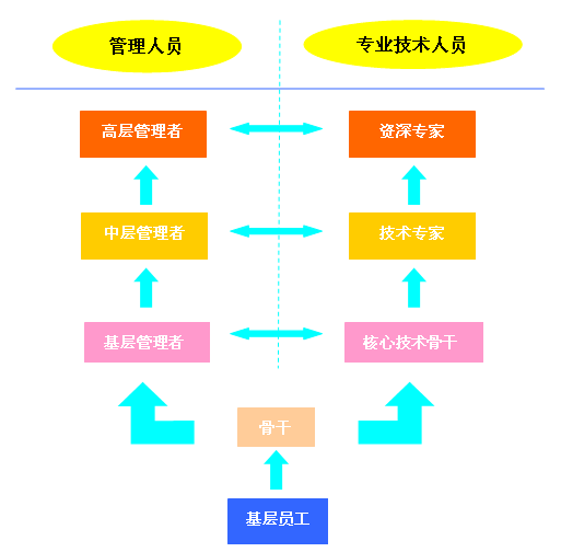 技术和管理双通道发展